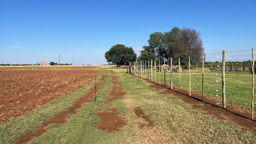 Commercial Property for Sale in Arcadia SH Free State